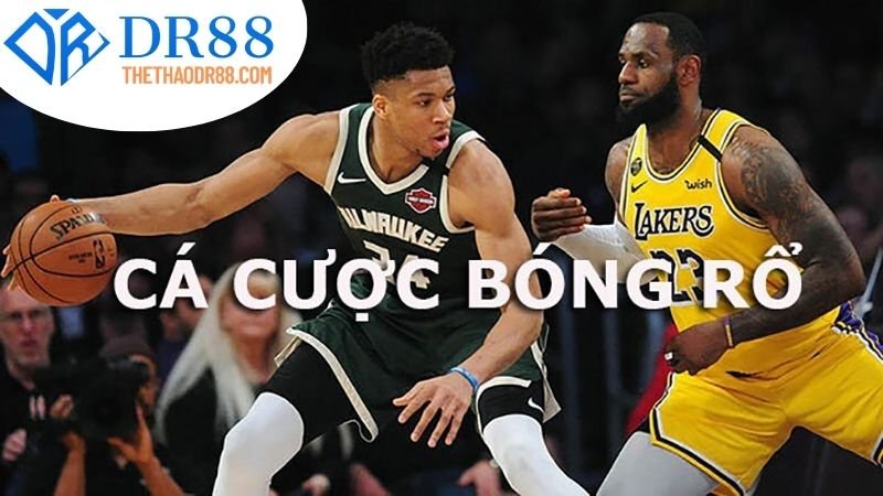 Kèo bóng rổ DR88 – Soi kèo NBA, EuroLeague mỗi ngày